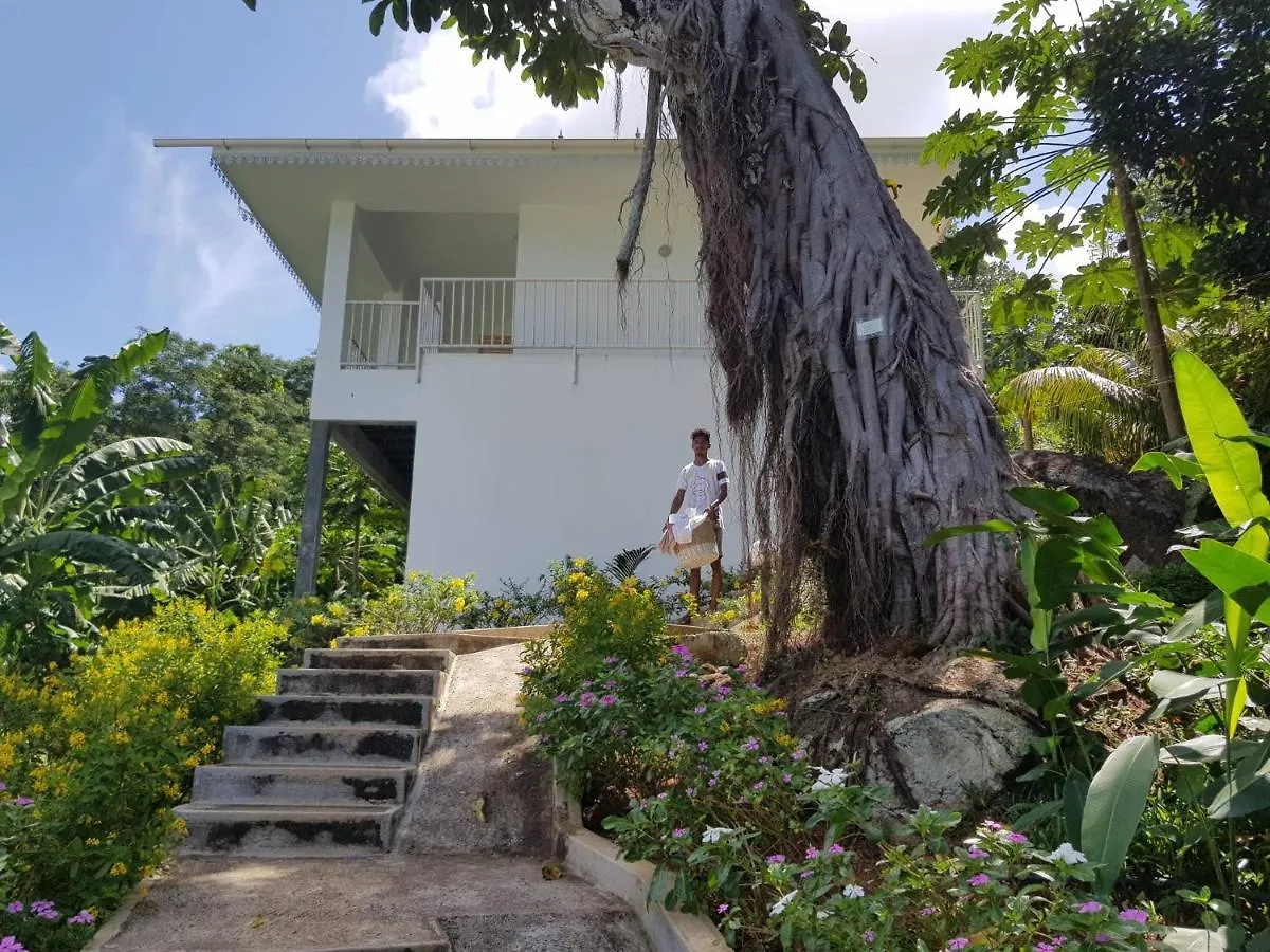 Chepsted Chalets Glacis  0*, Glacis (Mahe) Seychelles