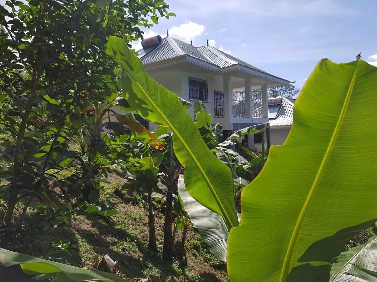 Chepsted Chalets Glacis  Glacis (Mahe)